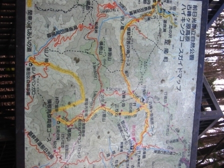 イメージ 7