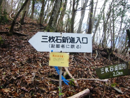 イメージ 9
