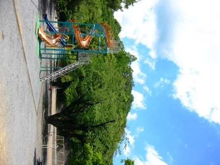イメージ 14