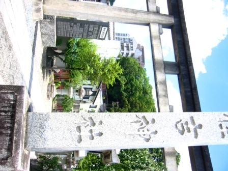 イメージ 7