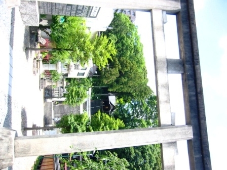 イメージ 8