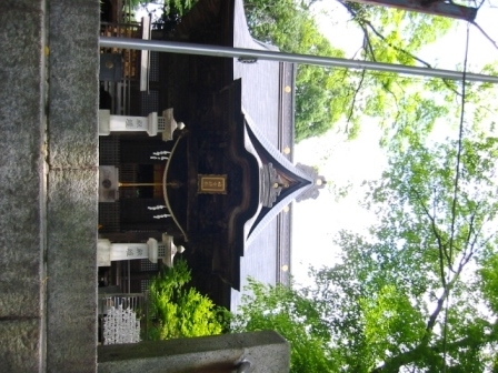 イメージ 9