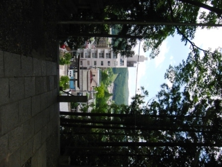 イメージ 10