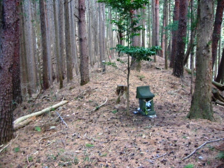イメージ 3