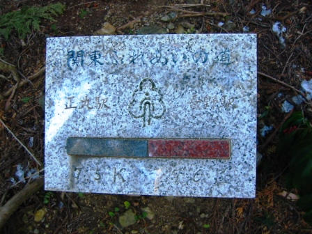 イメージ 7