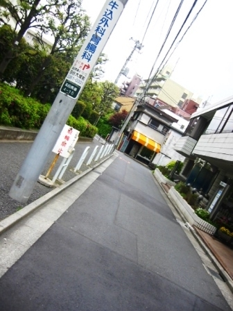 イメージ 9