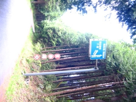 イメージ 7