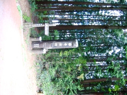 イメージ 8