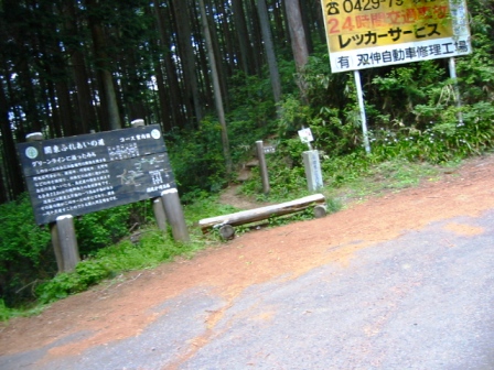 イメージ 9