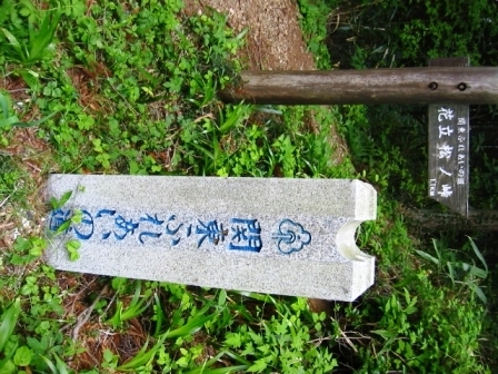 イメージ 10