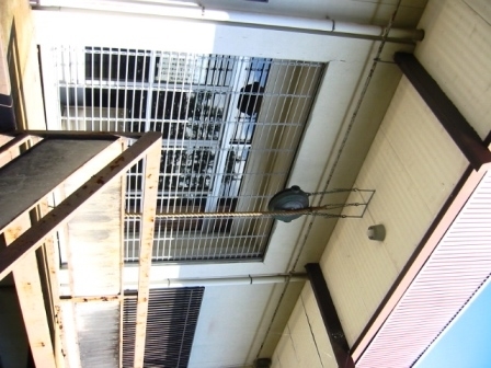 イメージ 4