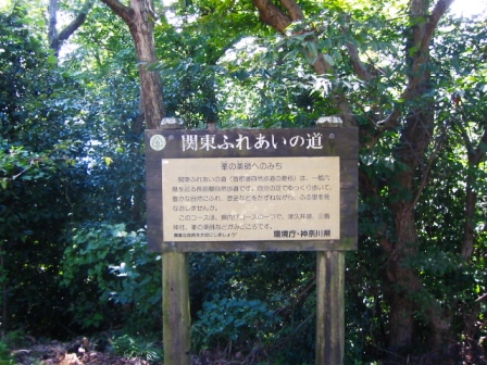 イメージ 6