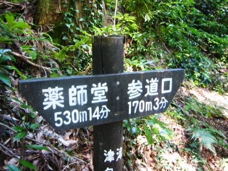 イメージ 7