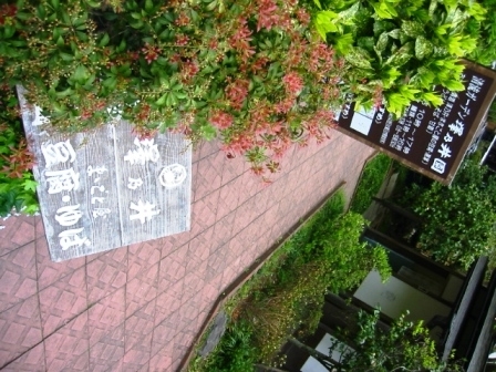 イメージ 12