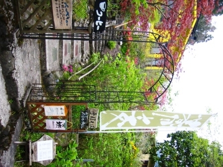イメージ 4