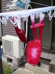 イメージ 6