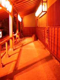 イメージ 8