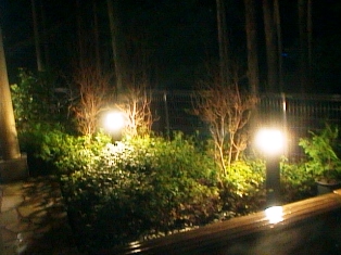 イメージ 10