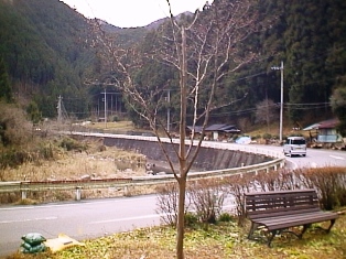 イメージ 3