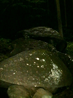 イメージ 6