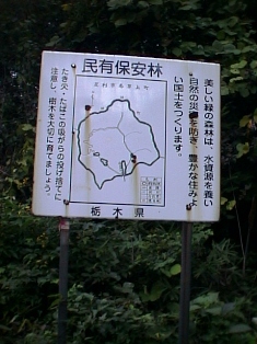 イメージ 9