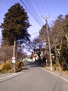 イメージ 12