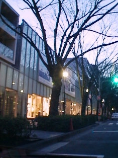 イメージ 6