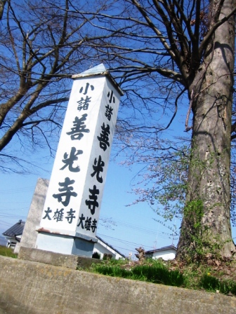 イメージ 5