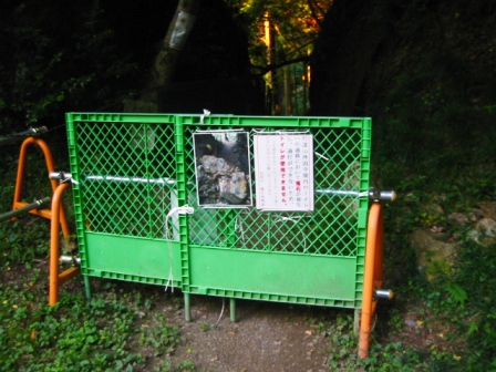 イメージ 6