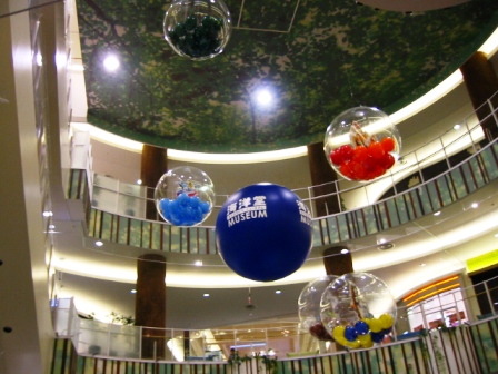 イメージ 6