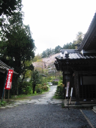 イメージ 8
