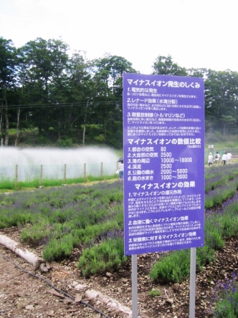 イメージ 13