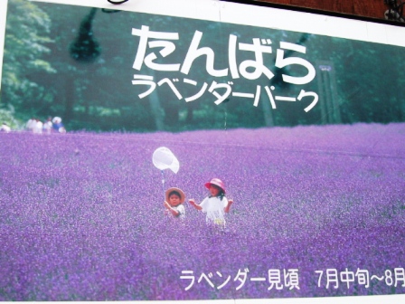 イメージ 18