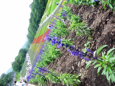 イメージ 3