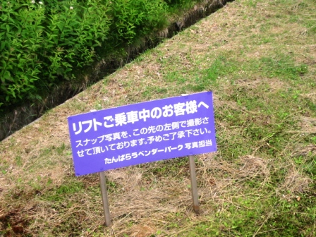 イメージ 6