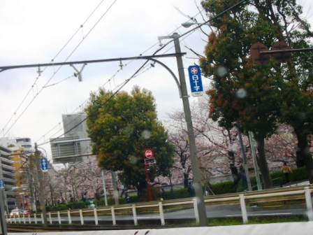 イメージ 4