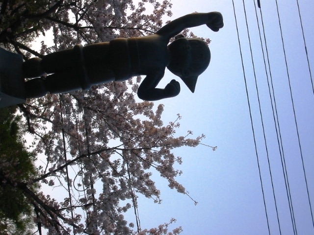 イメージ 10