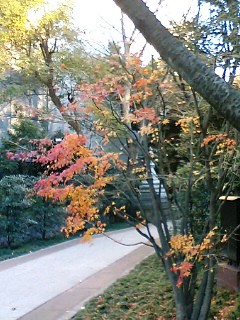 イメージ 4