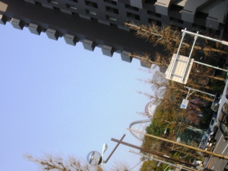 イメージ 12