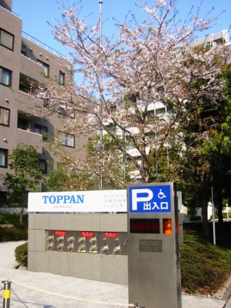 イメージ 9