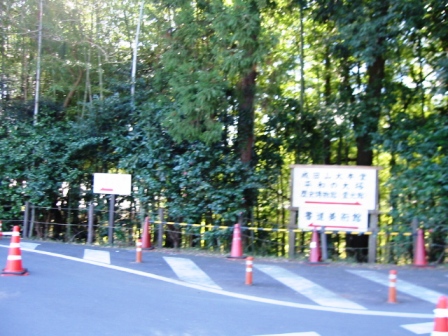 イメージ 8