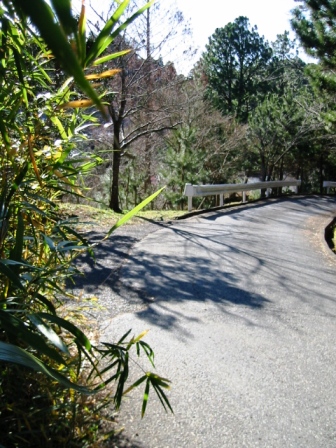 イメージ 10