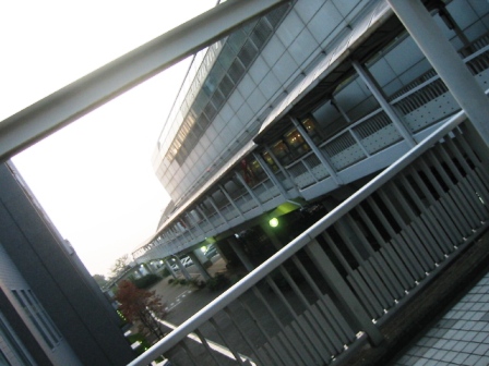 イメージ 8