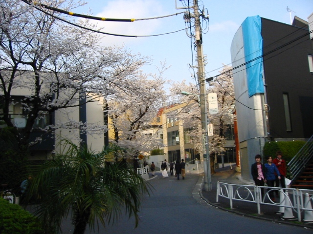 イメージ 7