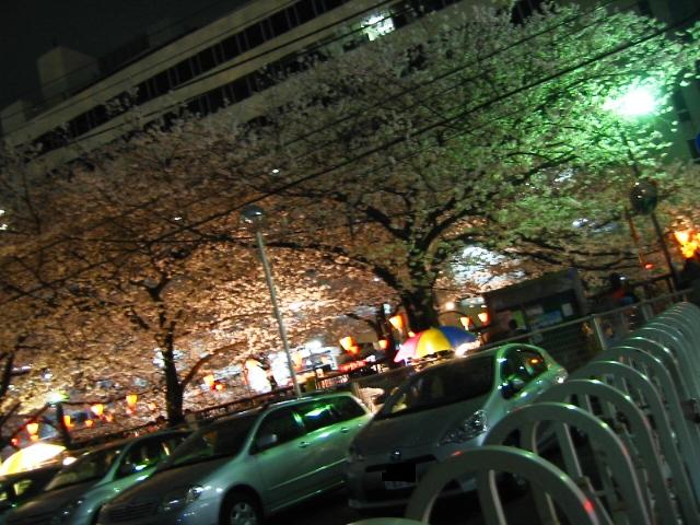 イメージ 10