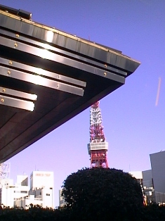 イメージ 6