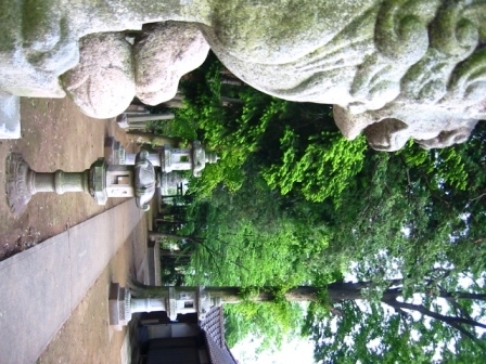 イメージ 8