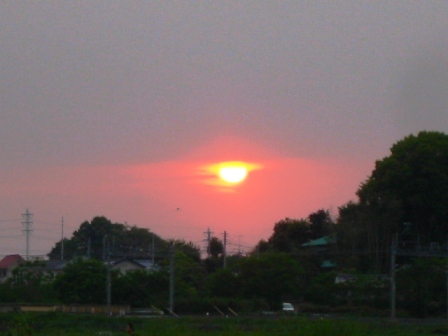 イメージ 10