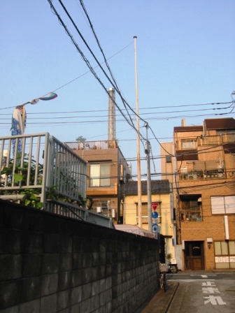 イメージ 7