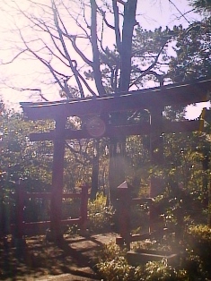 イメージ 12